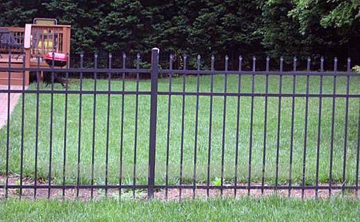 custom iron fencing installed near the garden