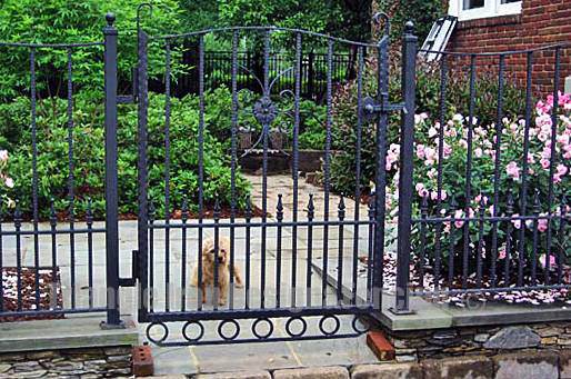 wrought iron gate installed in the wall 